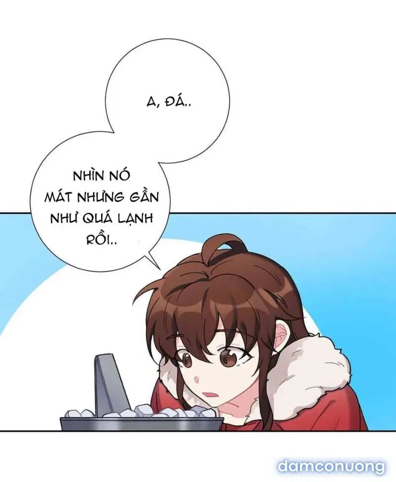 Cô Chủ Và Người Hầu 