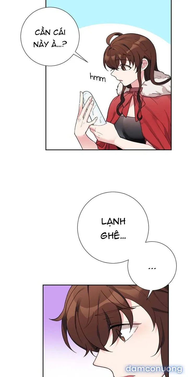 Cô Chủ Và Người Hầu 