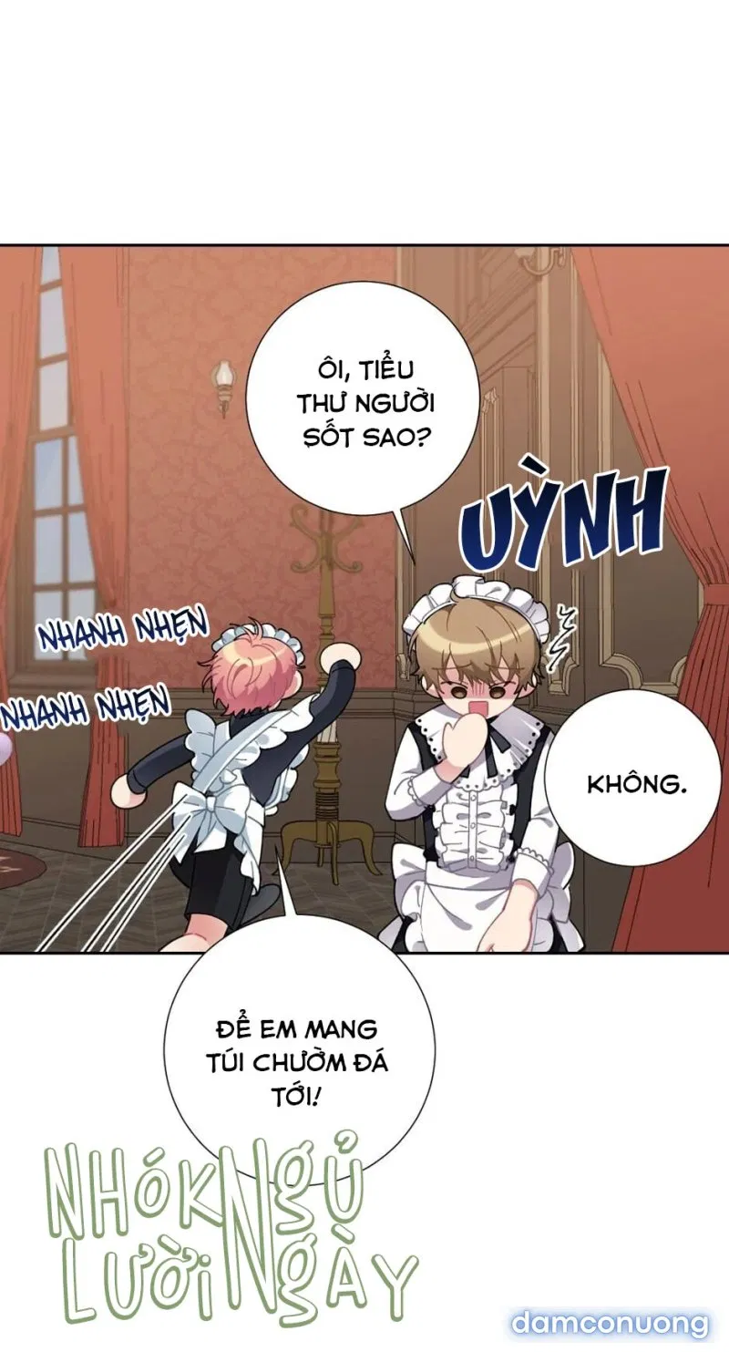 Cô Chủ Và Người Hầu 
