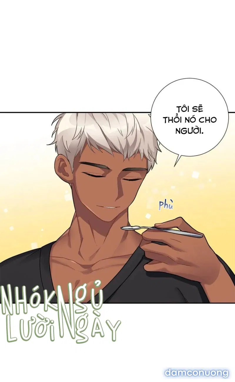 Cô Chủ Và Người Hầu 