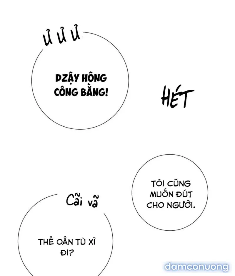 Cô Chủ Và Người Hầu 
