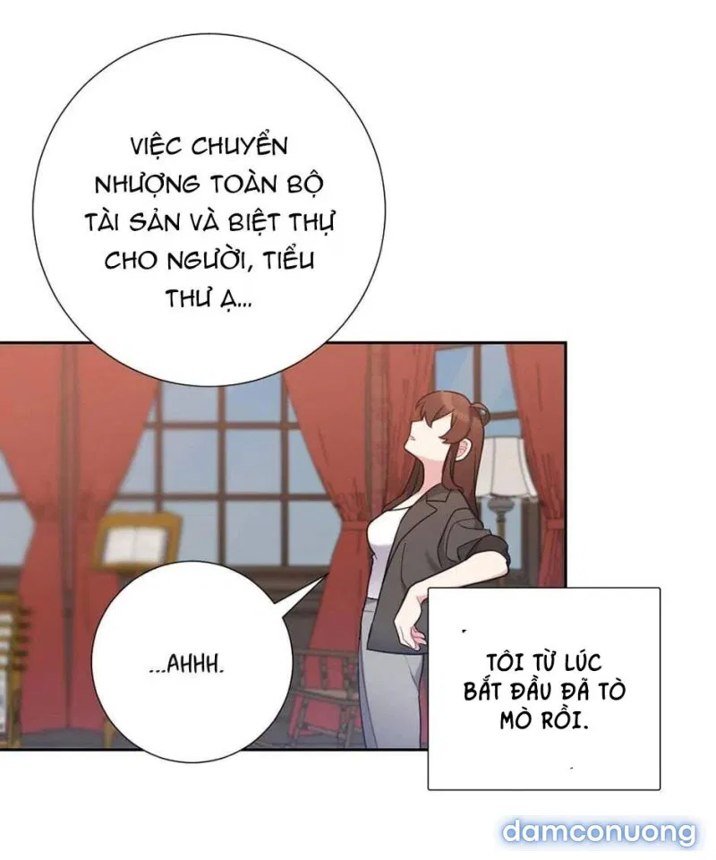 Cô Chủ Và Người Hầu 