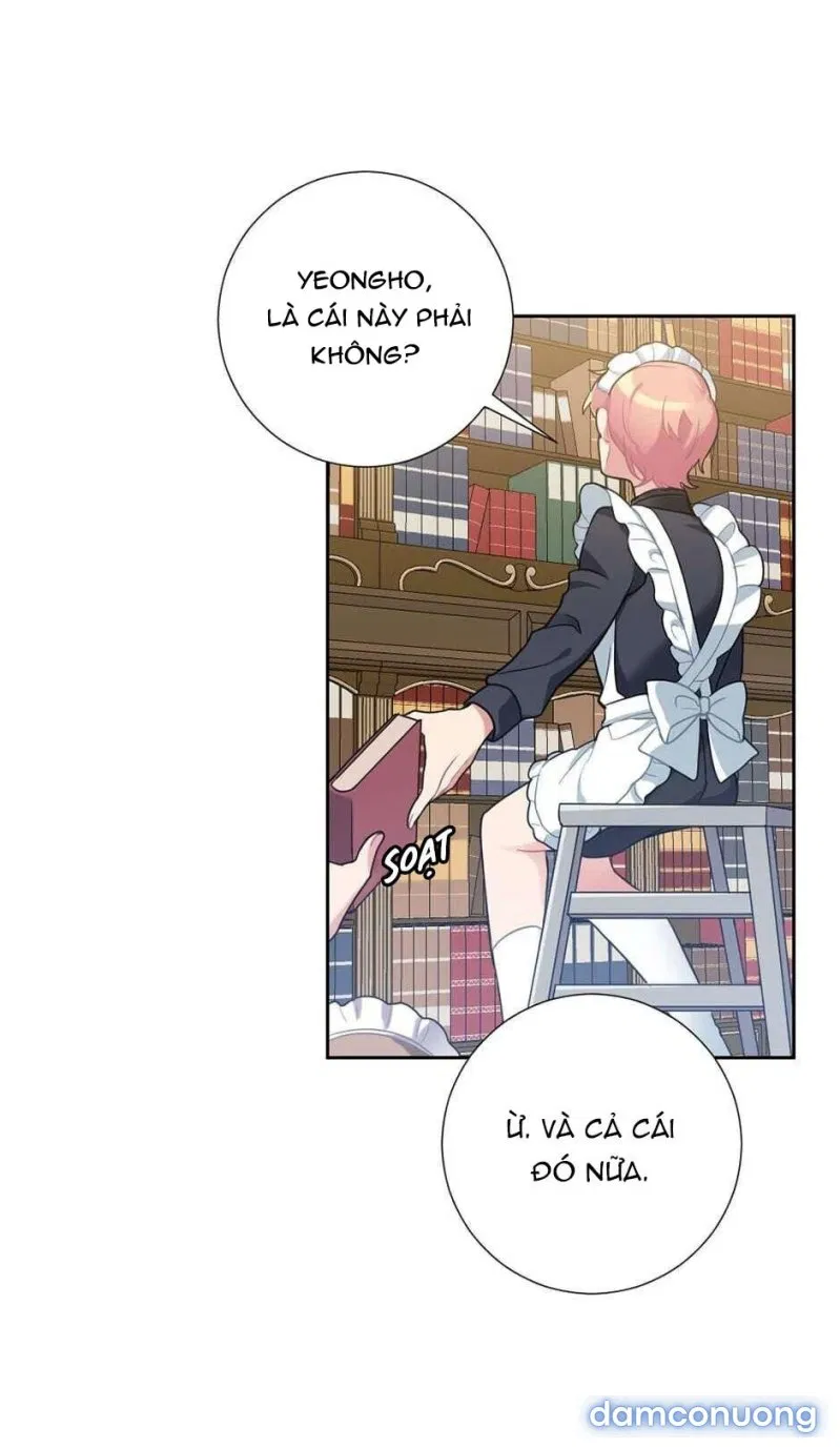 Cô Chủ Và Người Hầu 