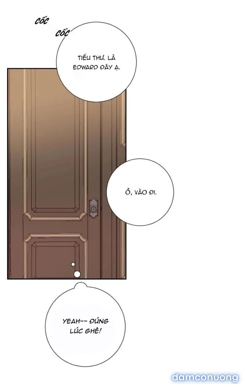 Cô Chủ Và Người Hầu 