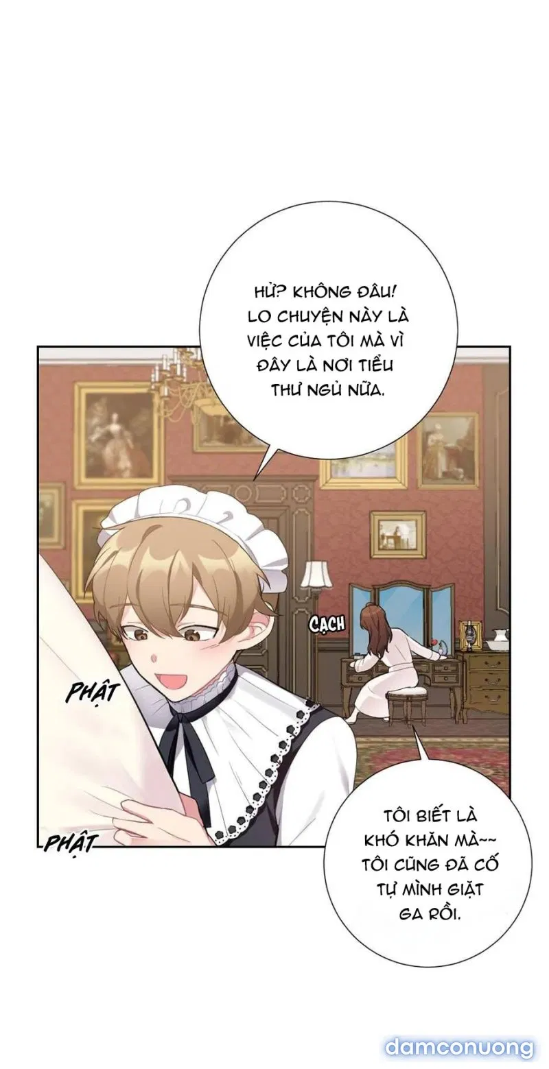 Cô Chủ Và Người Hầu 