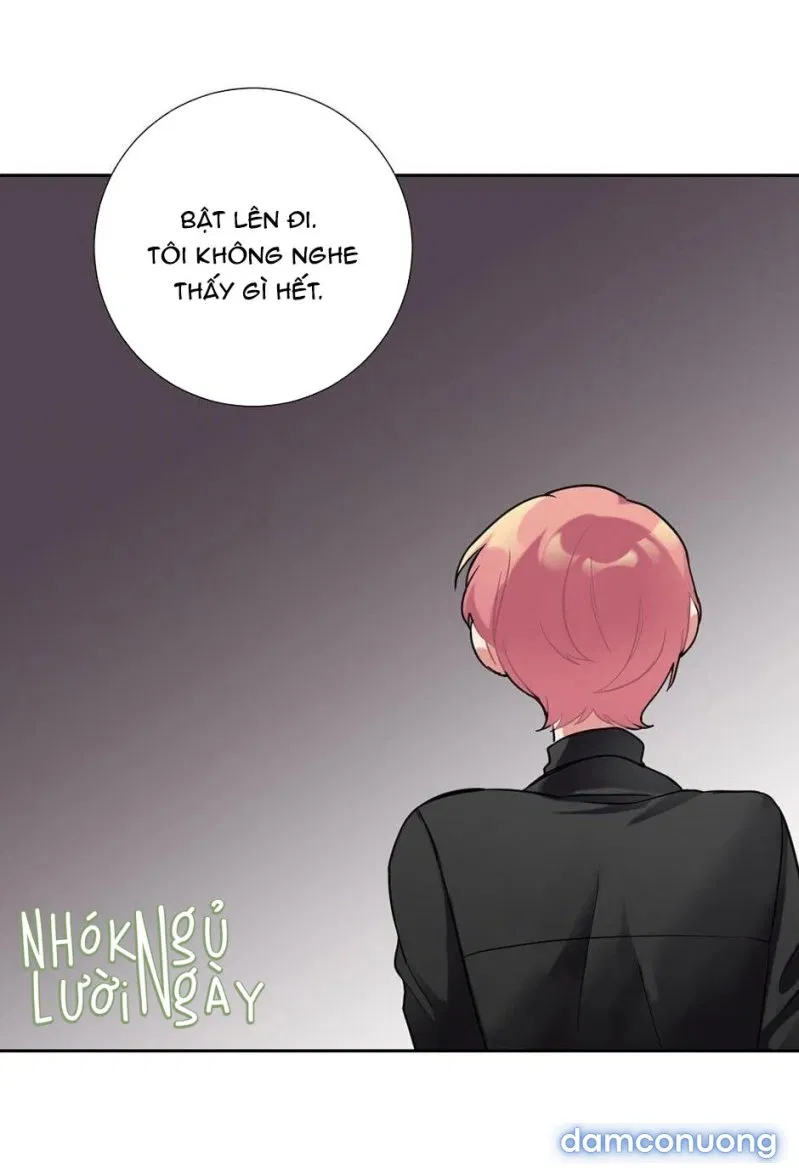 Cô Chủ Và Người Hầu 