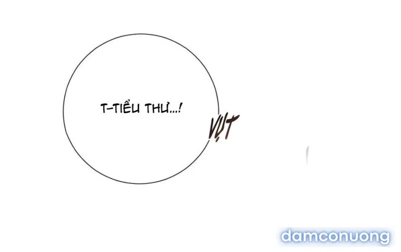 Cô Chủ Và Người Hầu 