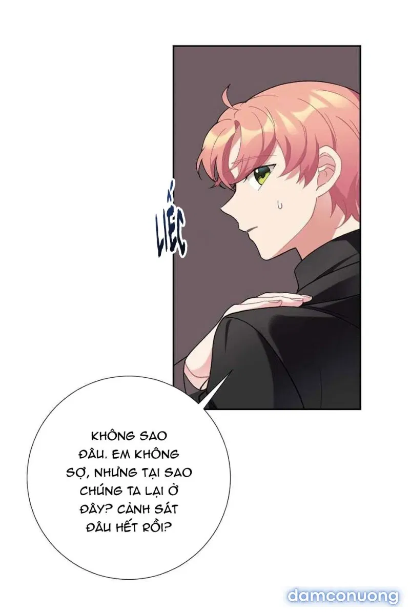 Cô Chủ Và Người Hầu 