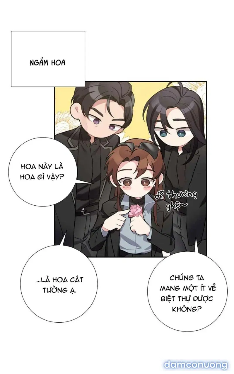 Cô Chủ Và Người Hầu 