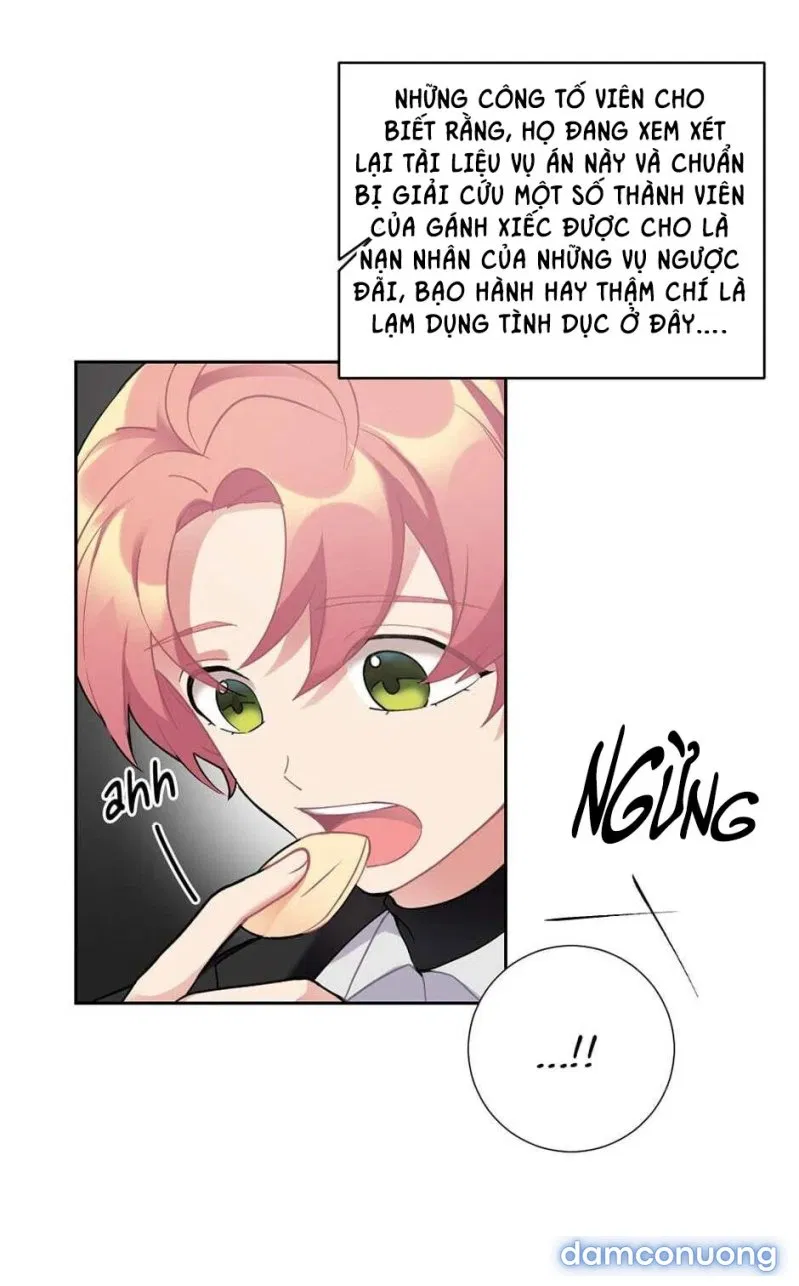 Cô Chủ Và Người Hầu 