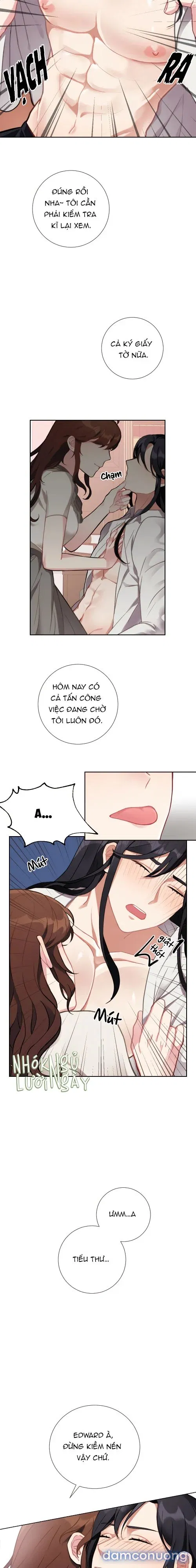 Cô Chủ Và Người Hầu 