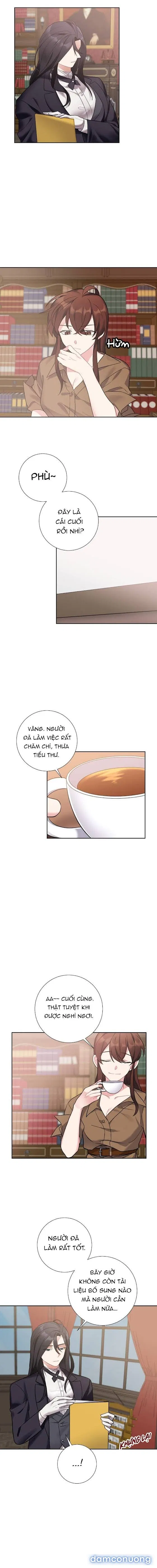 Cô Chủ Và Người Hầu 