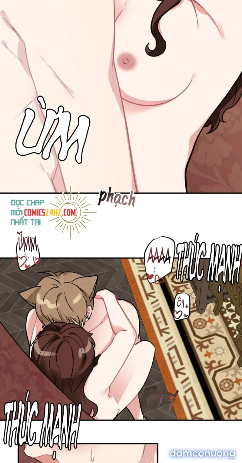 Cô Chủ Và Người Hầu 