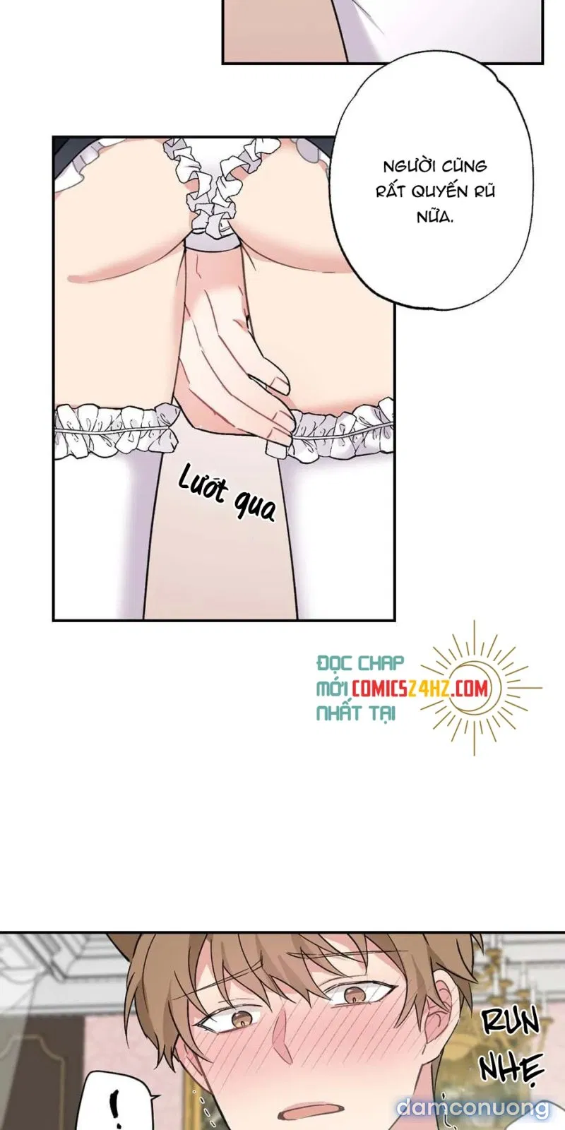 Cô Chủ Và Người Hầu 