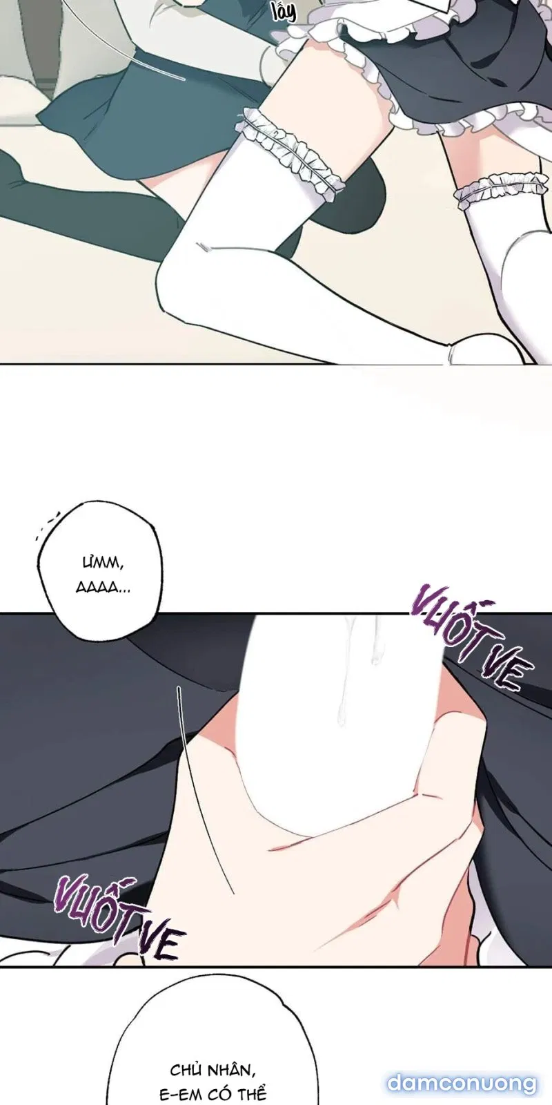 Cô Chủ Và Người Hầu 