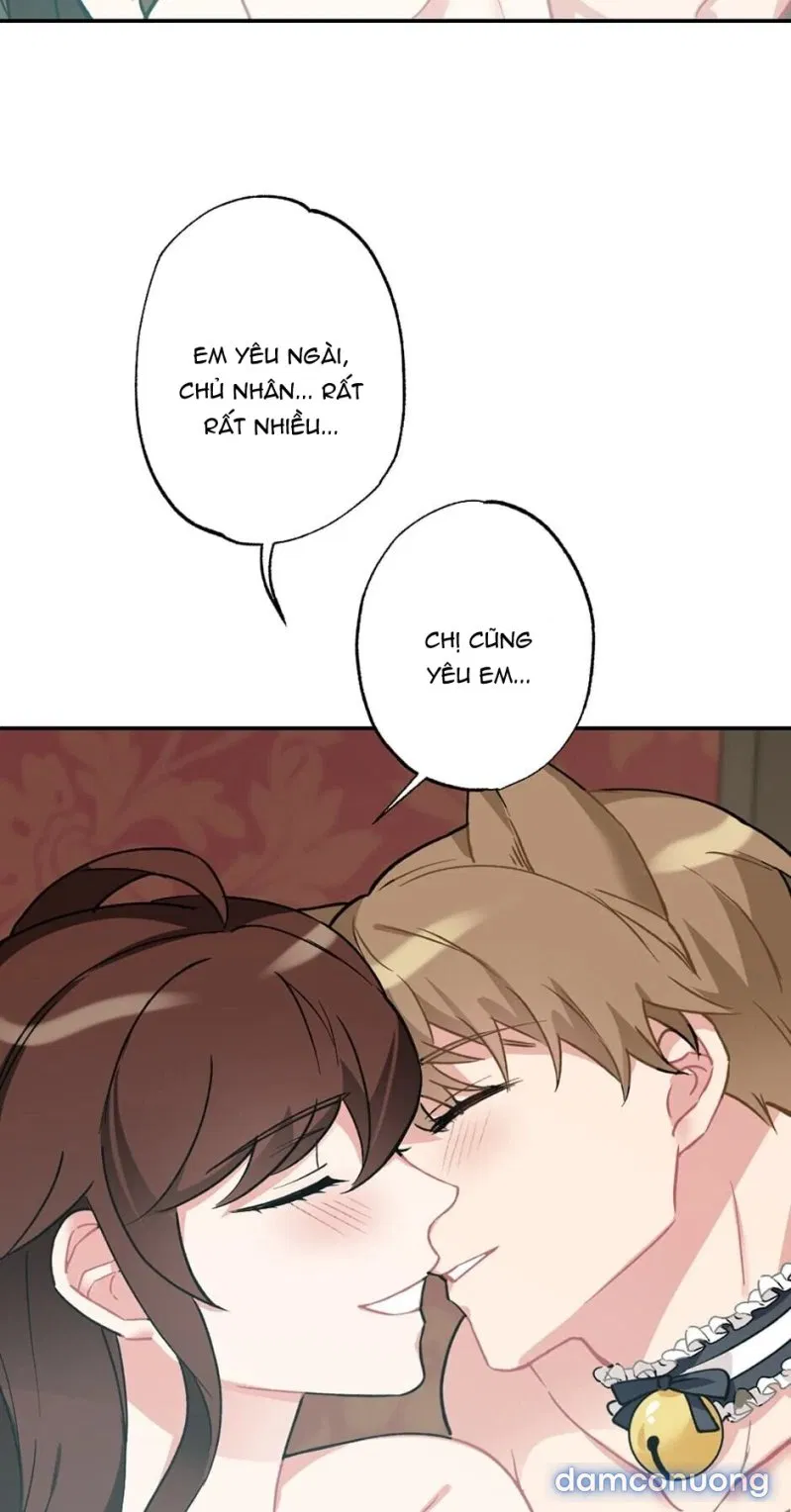 Cô Chủ Và Người Hầu 