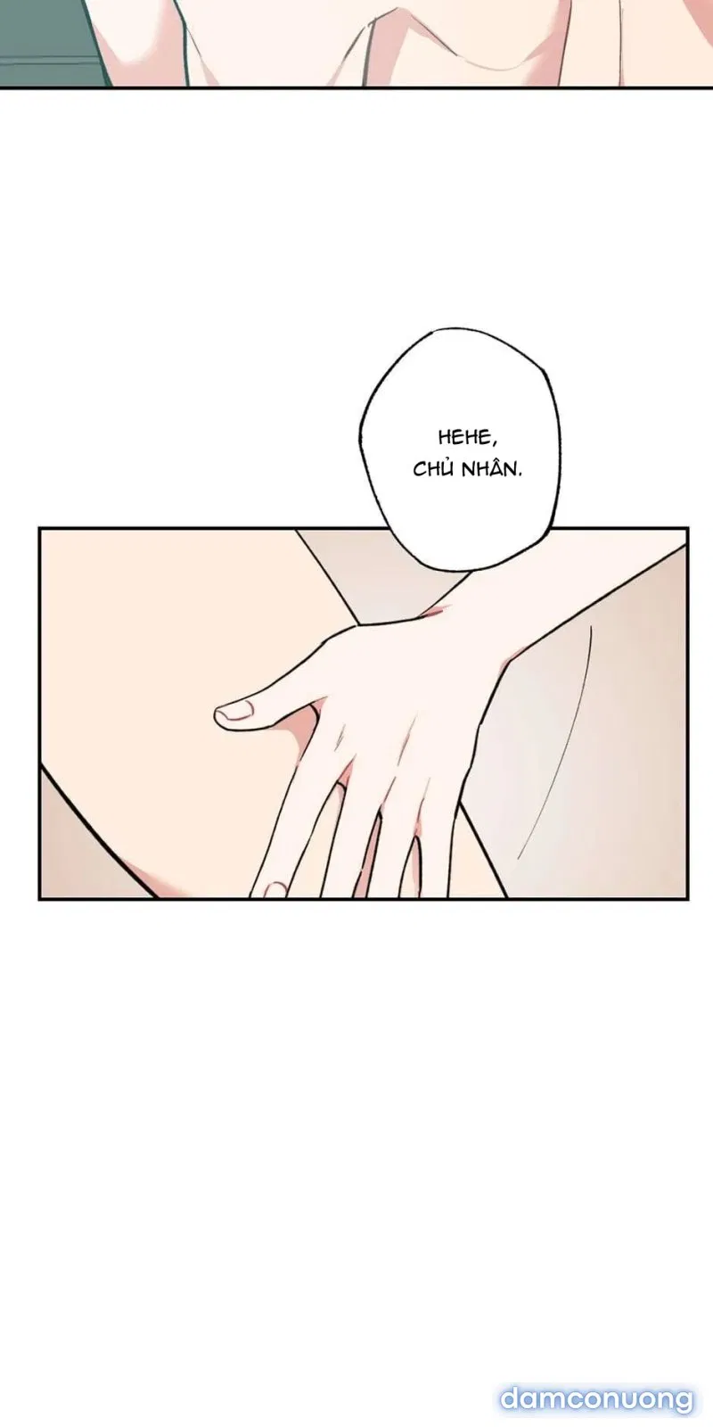 Cô Chủ Và Người Hầu 