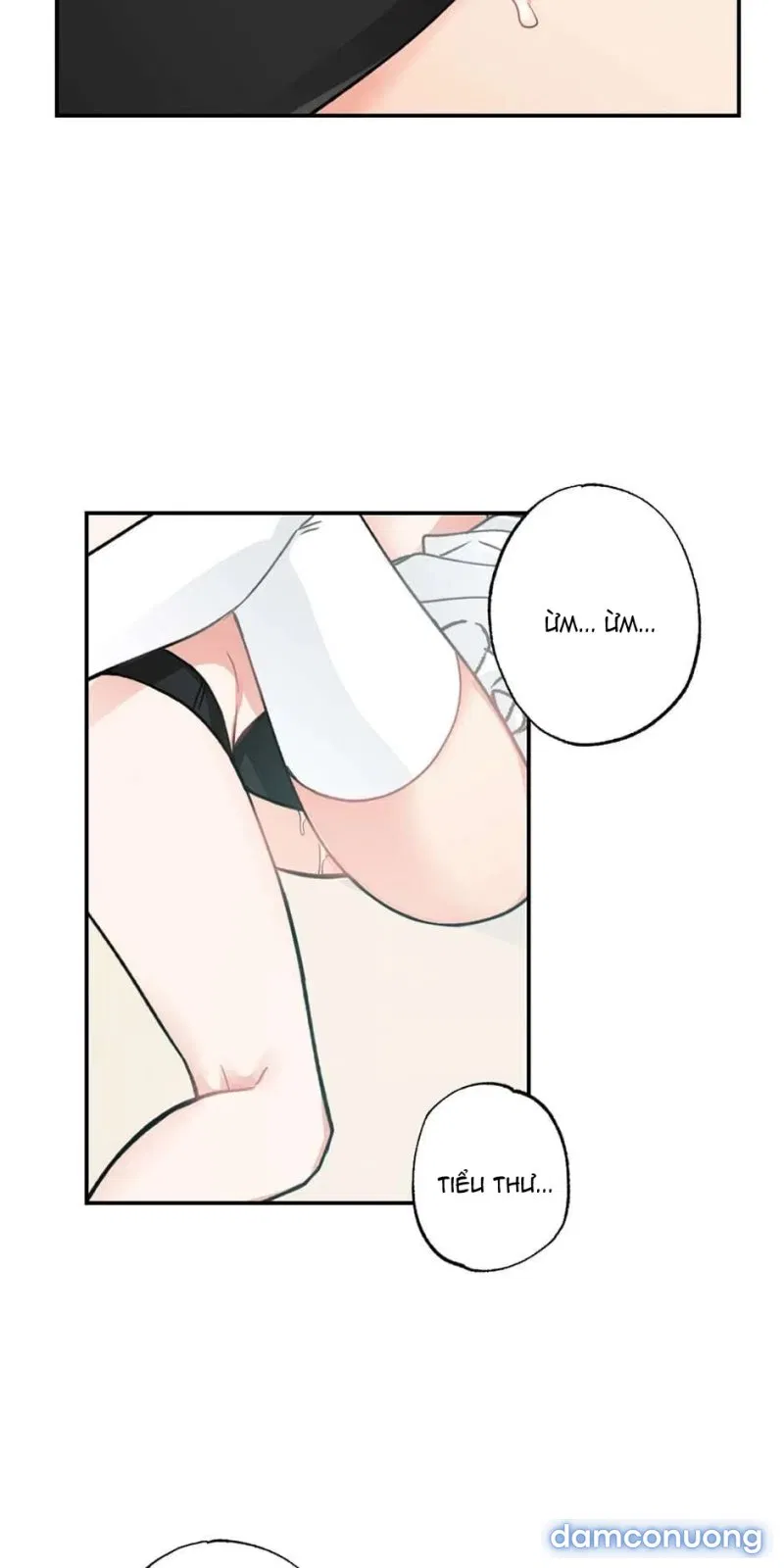 Cô Chủ Và Người Hầu 
