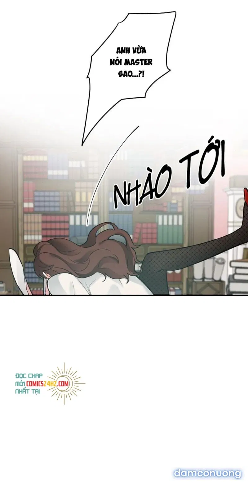 Cô Chủ Và Người Hầu 