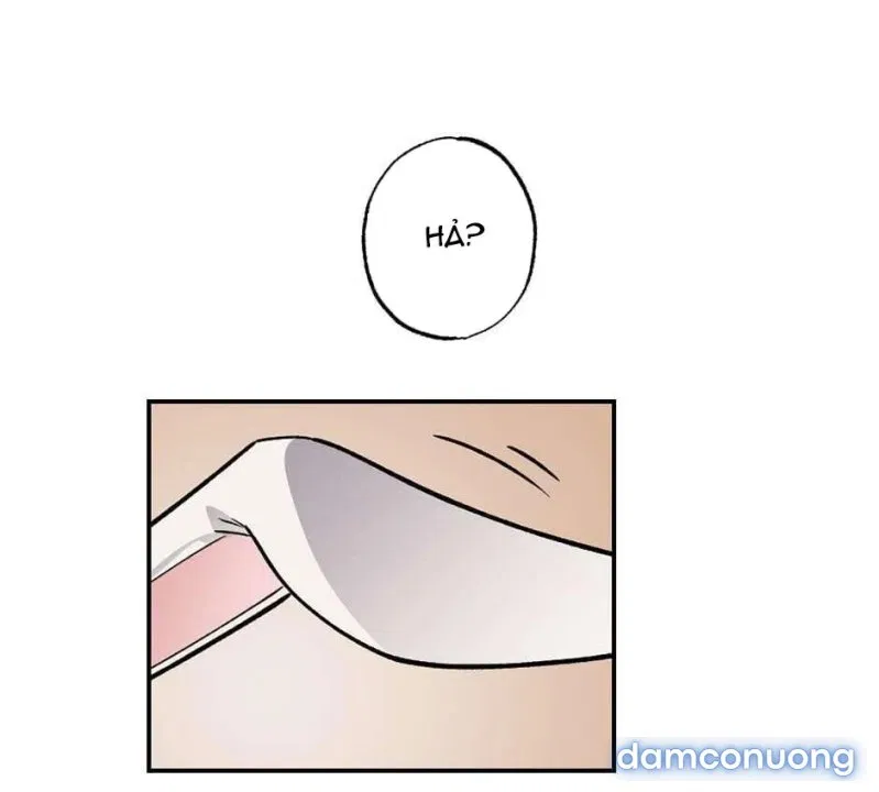 Cô Chủ Và Người Hầu 