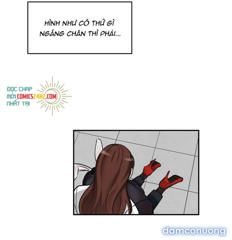 Cô Chủ Và Người Hầu 