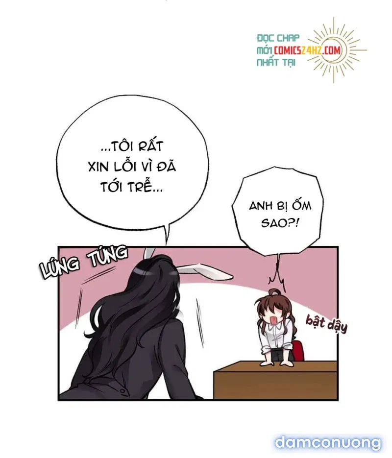 Cô Chủ Và Người Hầu 