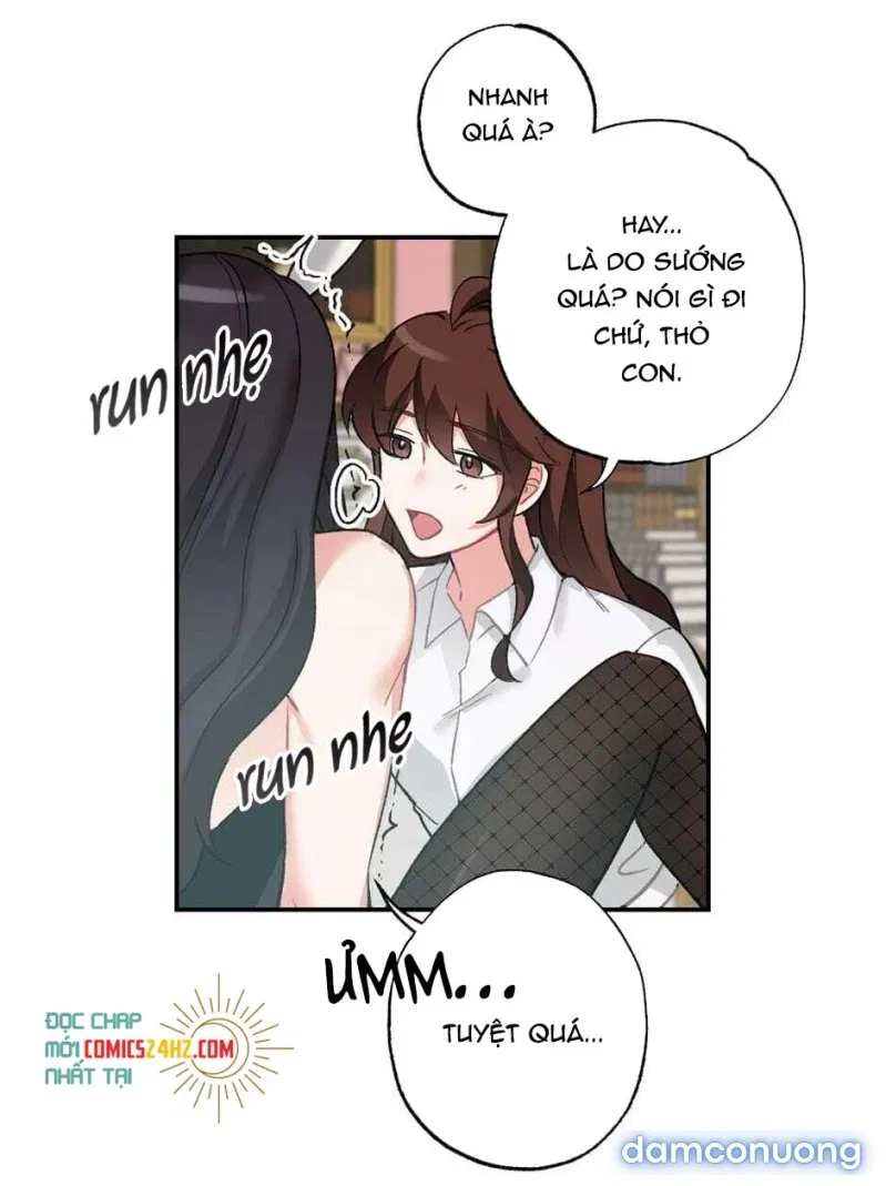 Cô Chủ Và Người Hầu 