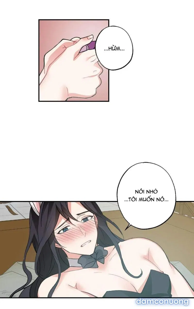 Cô Chủ Và Người Hầu 