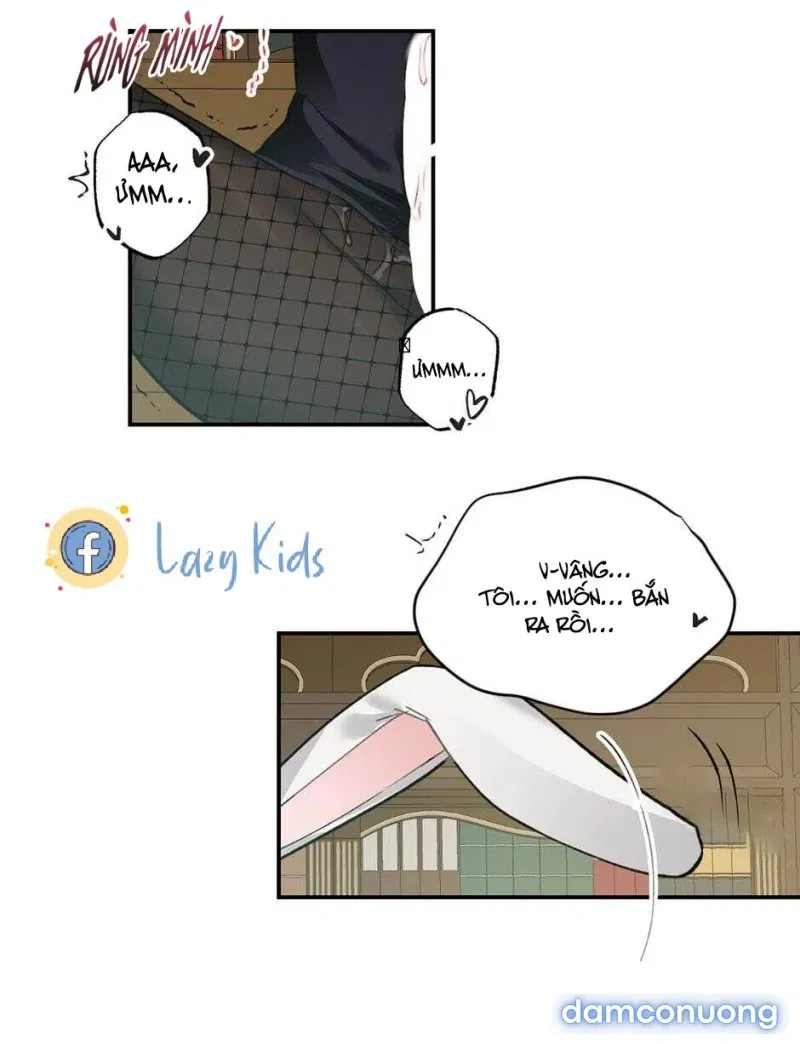 Cô Chủ Và Người Hầu 