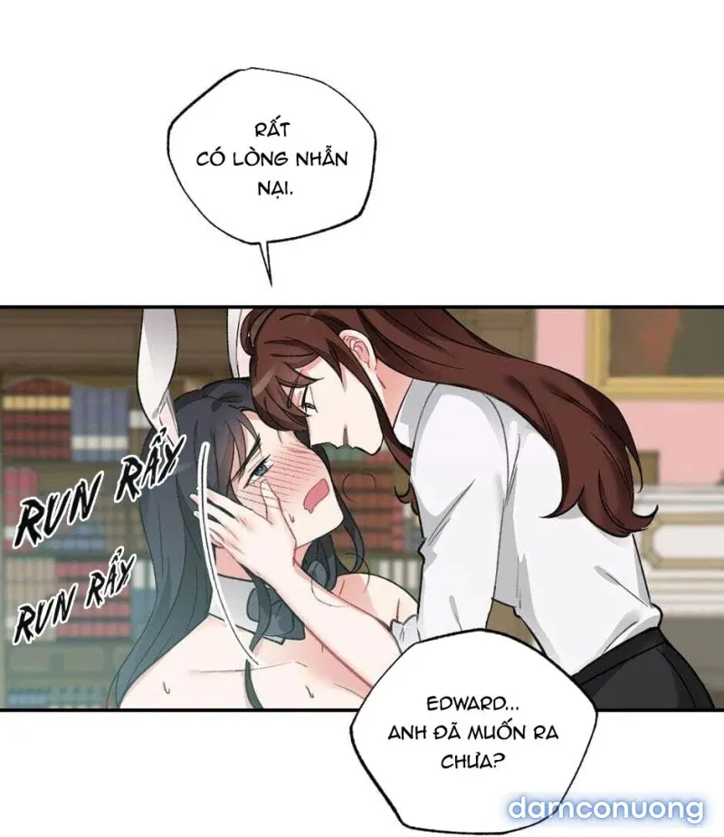 Cô Chủ Và Người Hầu 