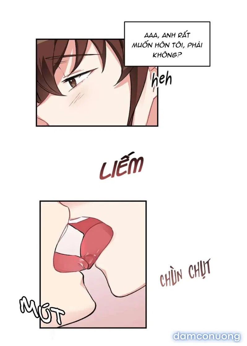 Cô Chủ Và Người Hầu 