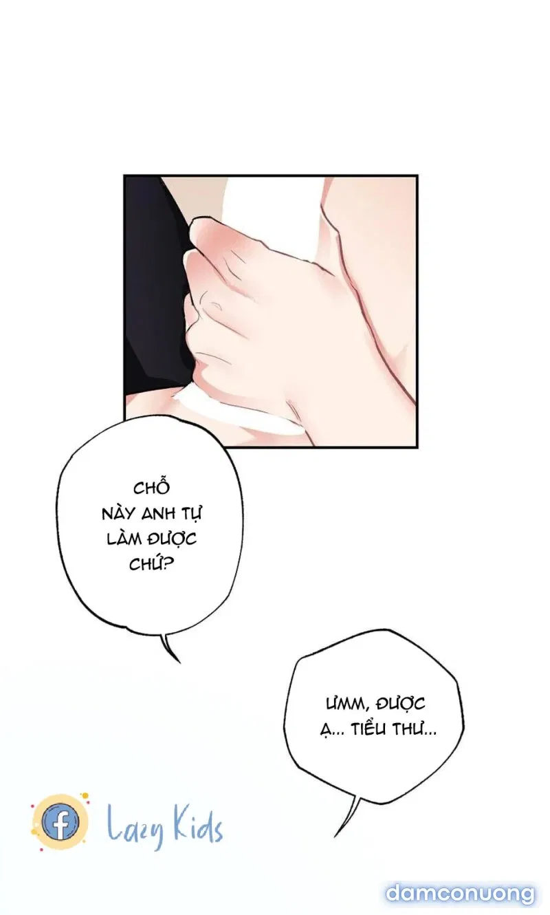 Cô Chủ Và Người Hầu 