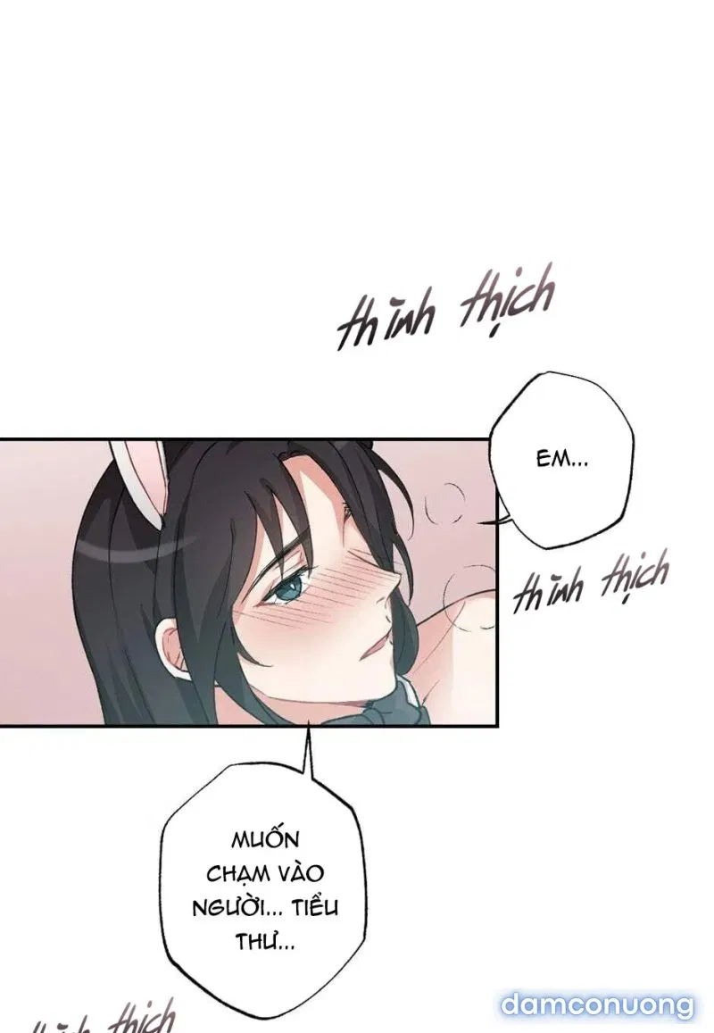 Cô Chủ Và Người Hầu 