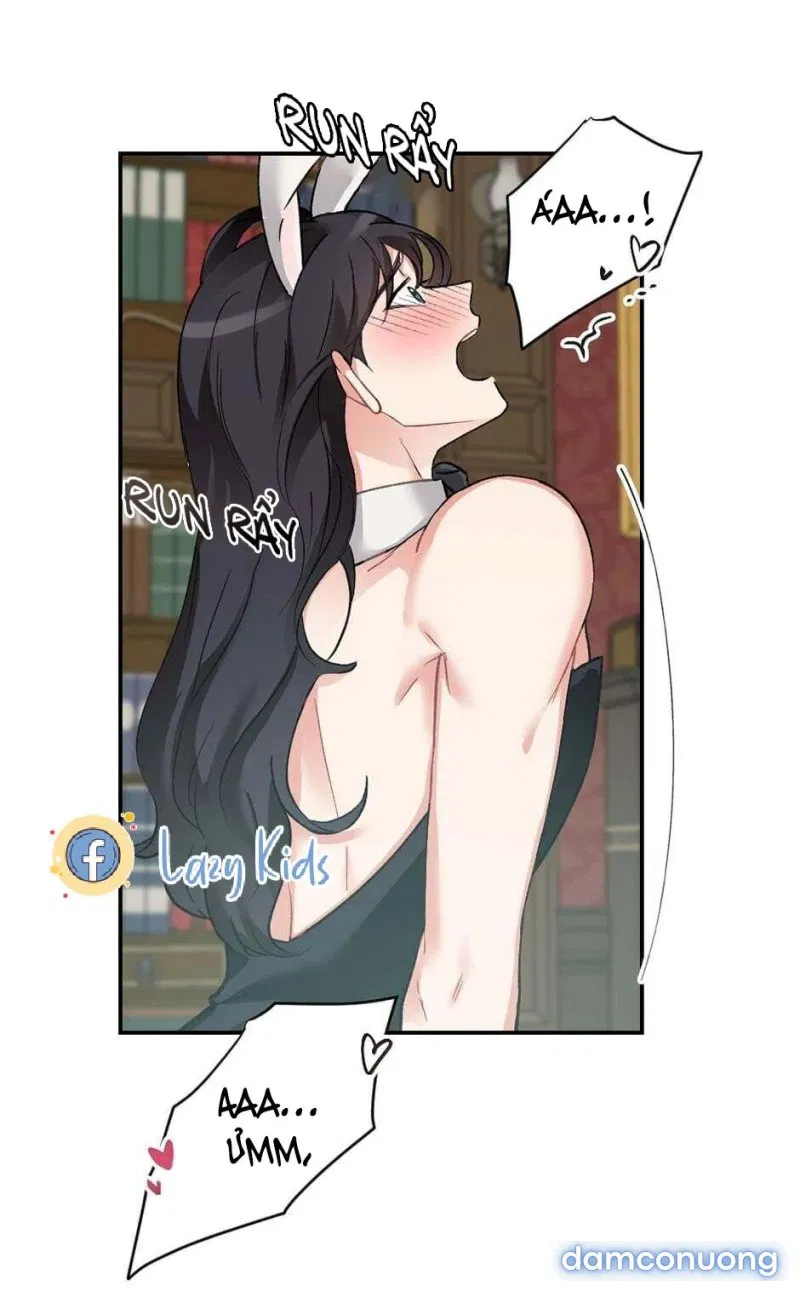 Cô Chủ Và Người Hầu 