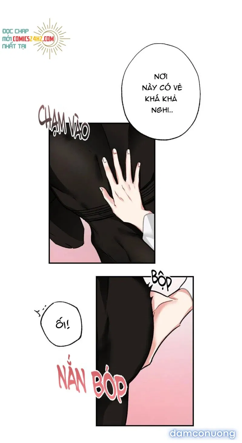 Cô Chủ Và Người Hầu 