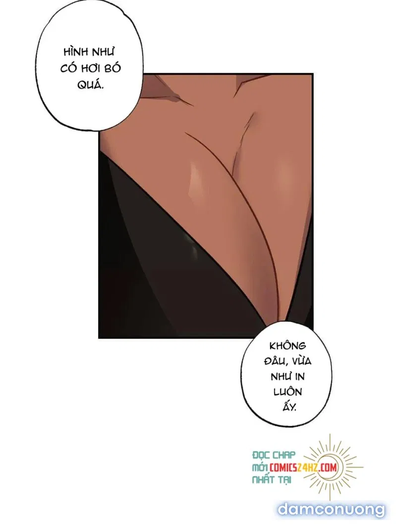 Cô Chủ Và Người Hầu 