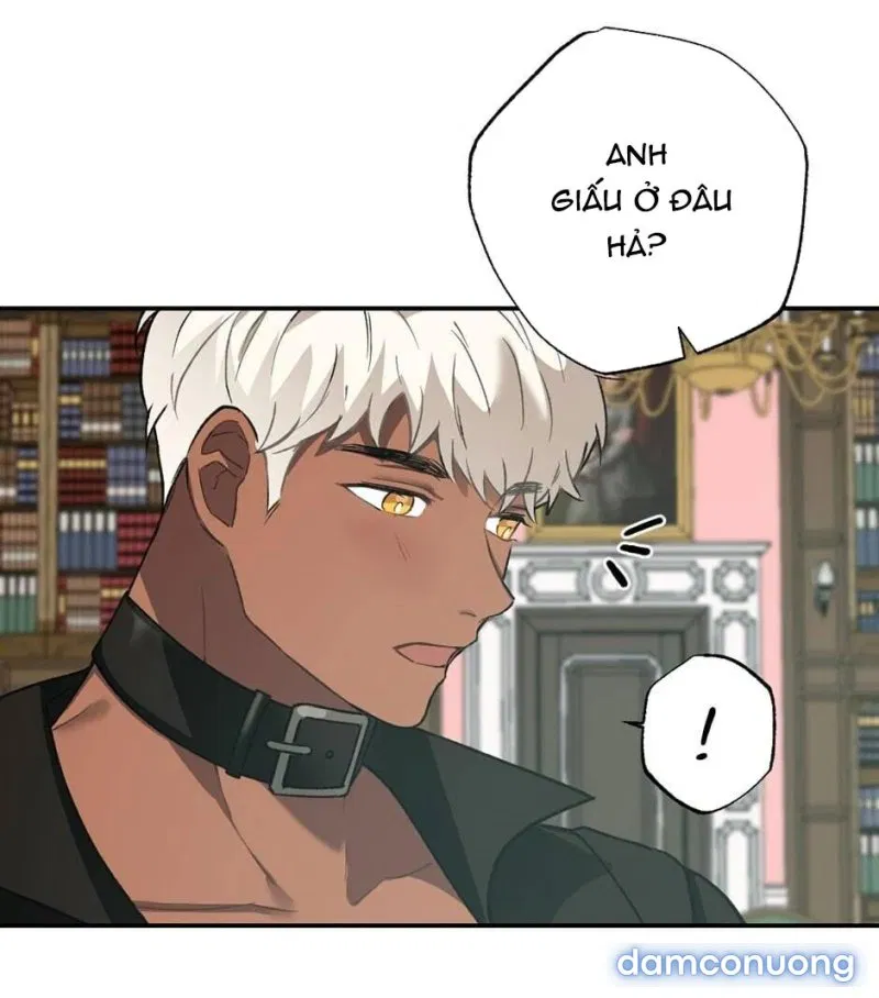 Cô Chủ Và Người Hầu 