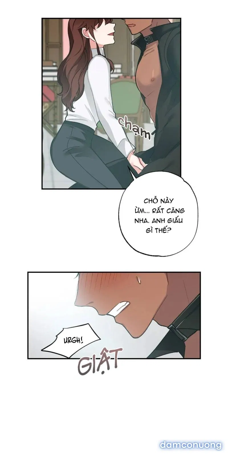 Cô Chủ Và Người Hầu 
