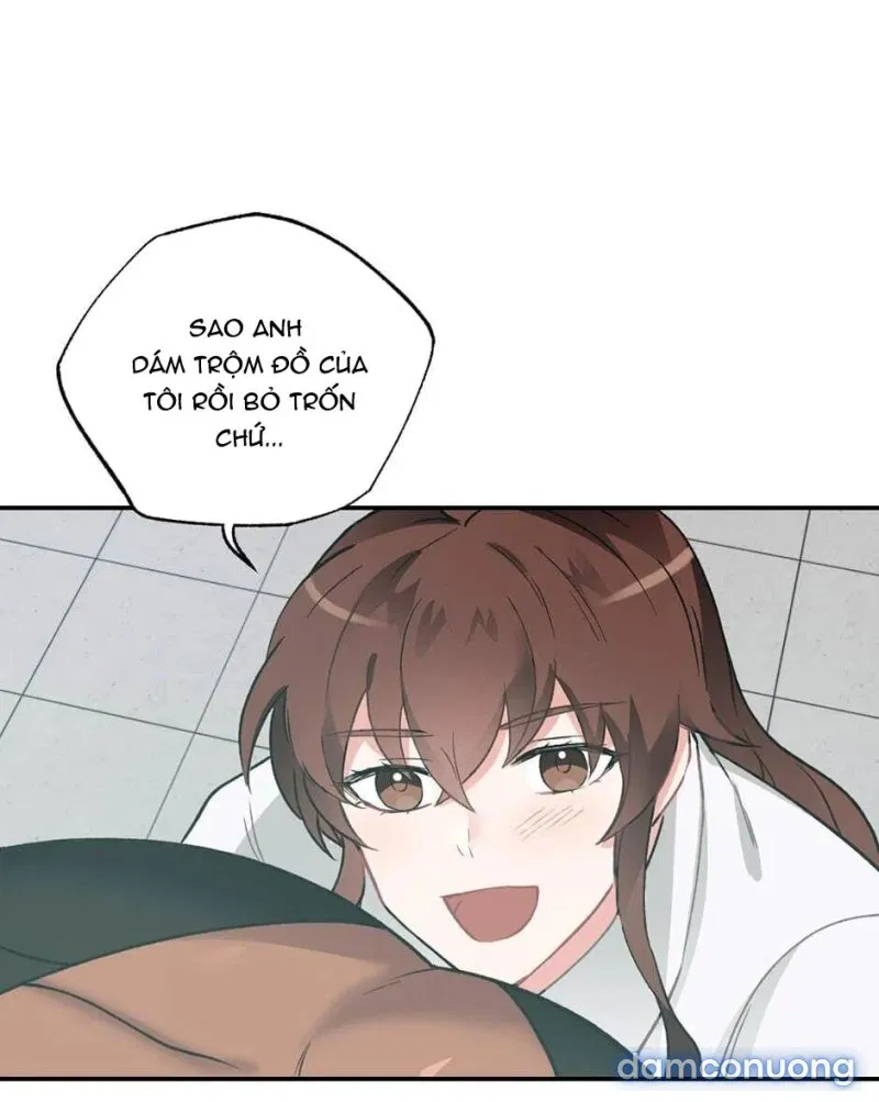 Cô Chủ Và Người Hầu 