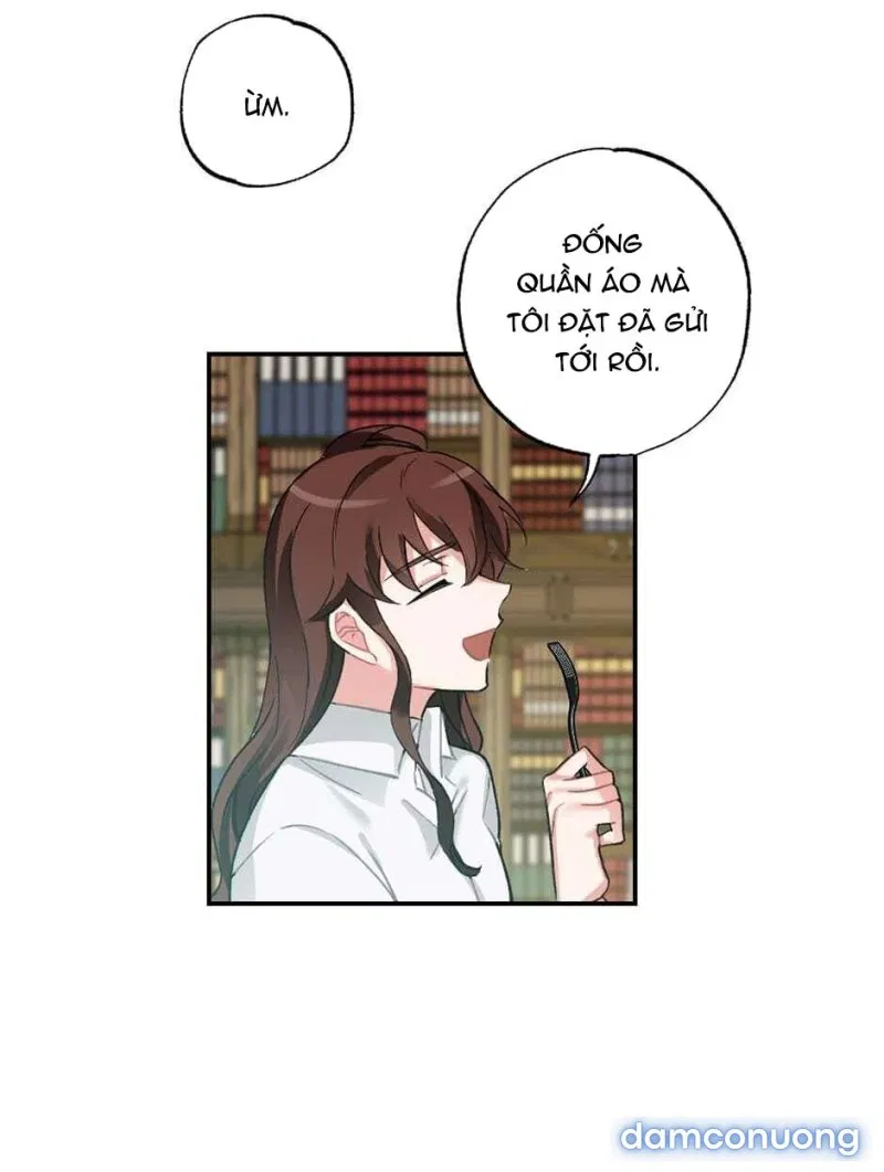 Cô Chủ Và Người Hầu 