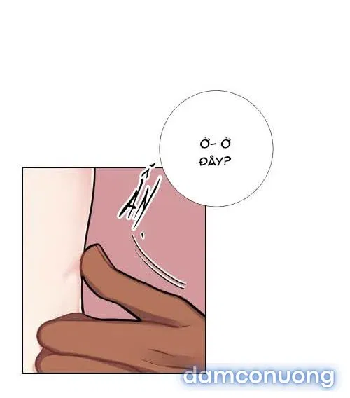 Cô Chủ Và Người Hầu 