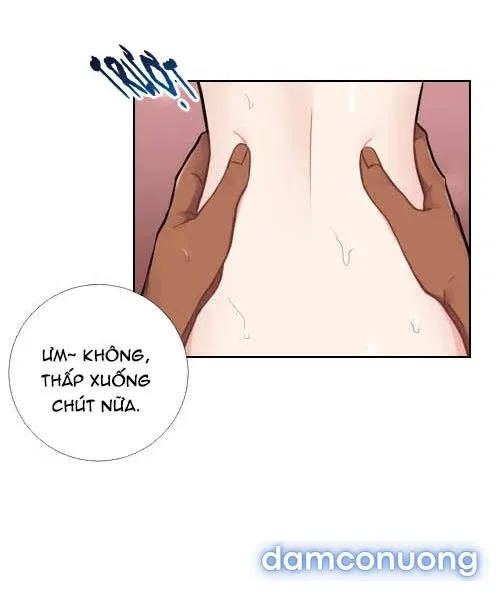 Cô Chủ Và Người Hầu 