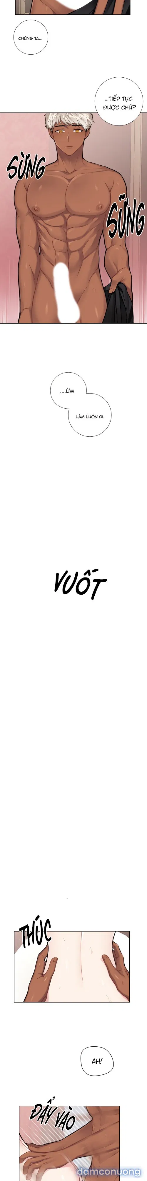 Cô Chủ Và Người Hầu 