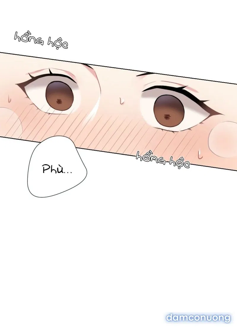 Cô Chủ Và Người Hầu 