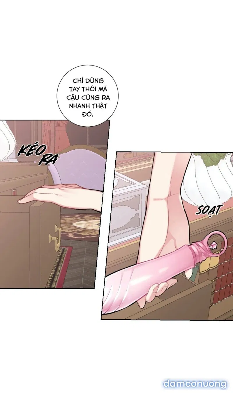 Cô Chủ Và Người Hầu 