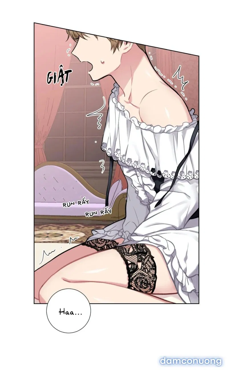Cô Chủ Và Người Hầu 