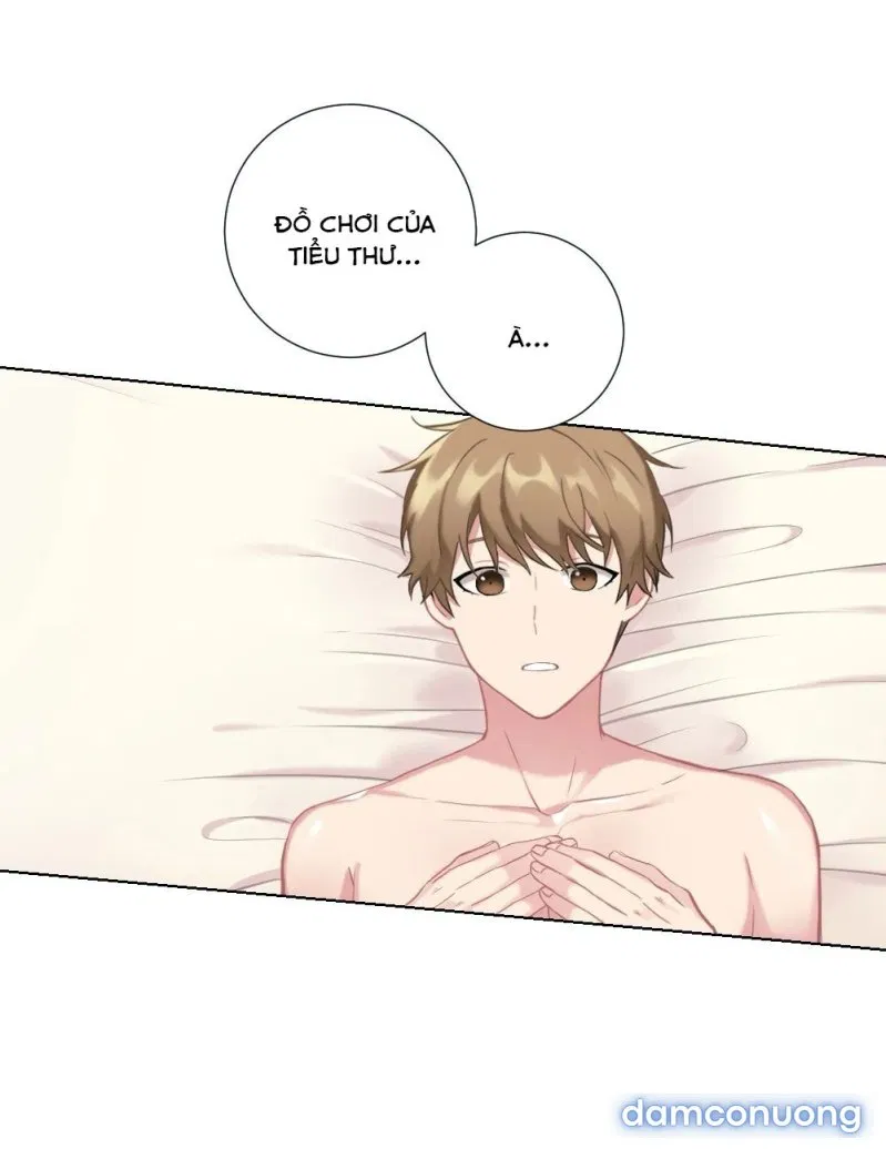Cô Chủ Và Người Hầu 
