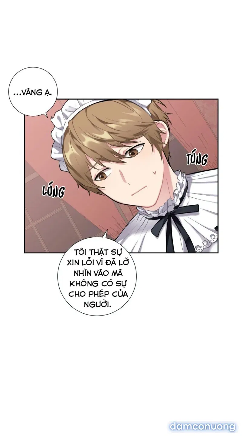 Cô Chủ Và Người Hầu 
