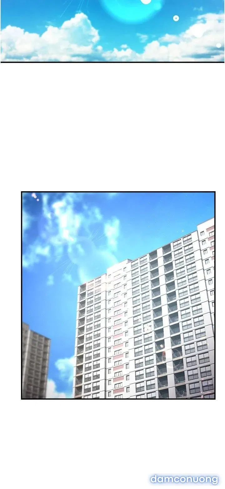 Trưởng Phòng Mật Báo 