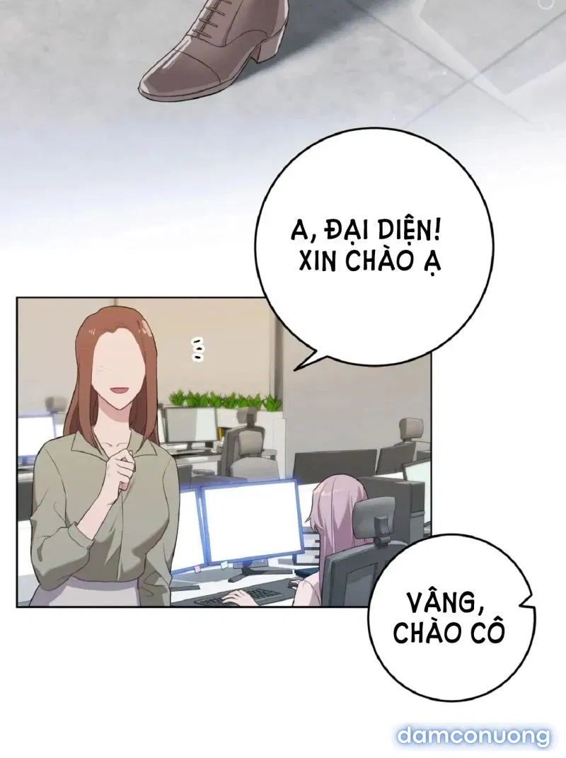 Sự Sụp Đổ 